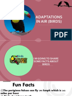 Adaptations in Air (Birds) (Autosaved)