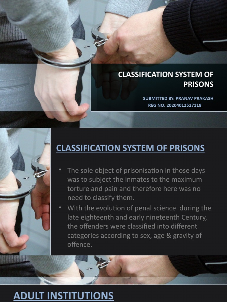 Classification System of Prisons PDF Prison Public Law
