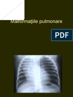 4. Pulmonar Malf Inflamatii Stud Lp 2020