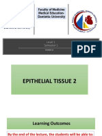 7 - Histology Lecture, Structure of The Epithelium 2