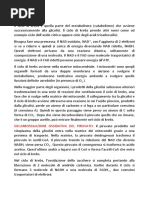 CICLO DI KREBS