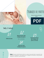 Trabajo de Parto - Obstetricia