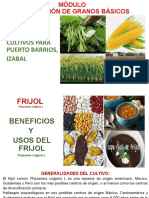 Frijol Módulo de Producción de Granos Básicos