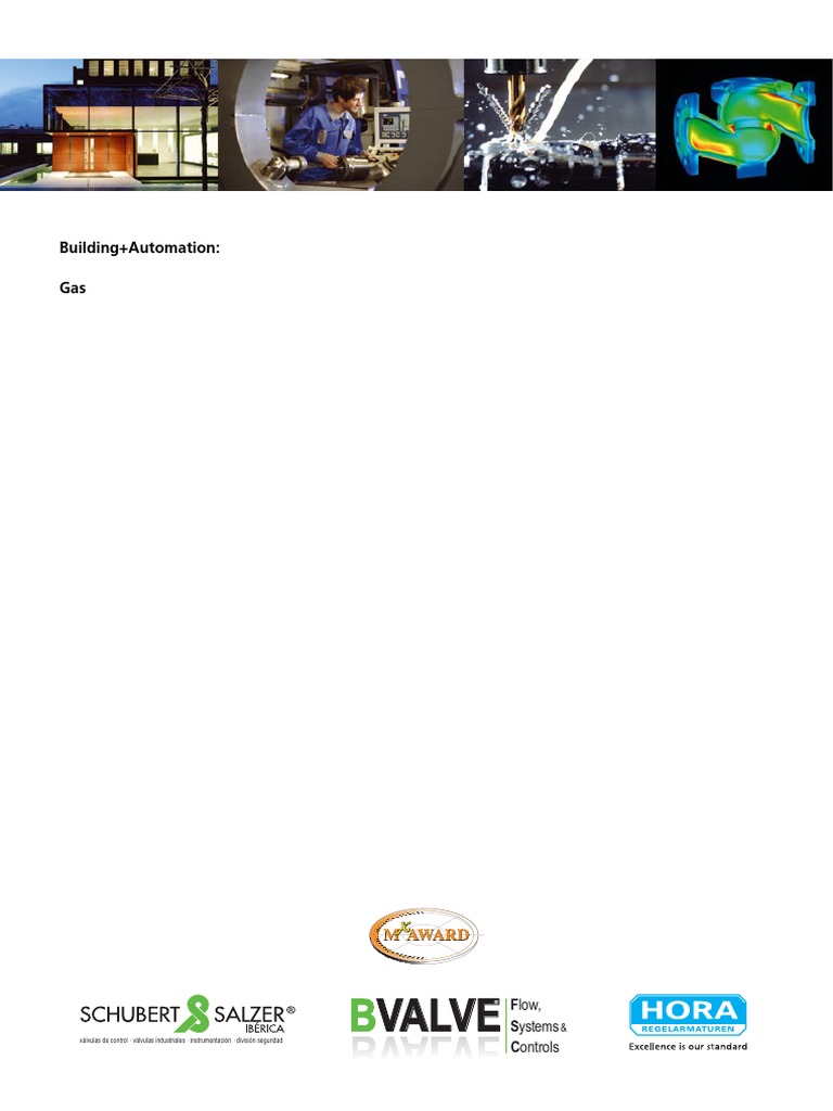 HORA Control Valves Gas PDF Valve Finite Element Method