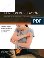 Función de Relacion - Nervioso