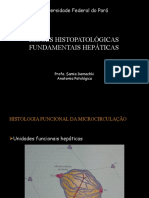 Aula - Lesões Histopatológicas Fundamentais Hepáticas