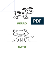 Perro