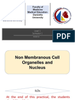 Medical Education-Damietta University Faculty of Medicine Level 1 Semester 1 Module 1A Cell Organelles and Stages of Cell Division