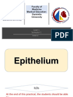 4 - Practical 4 Histology, Epithelium