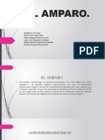 Diapositivas Del Amparo