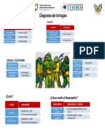 Diagrama de Tortugas