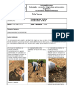 Informe 5 Morfo