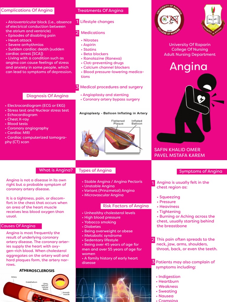 Treatments of Angina | PDF | Heart | Coronary Artery Disease