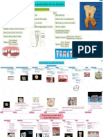 Tarea6-Cañar Priscila - Compressed