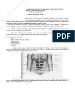 Abdome: Anatomia, Técnica e Classificação