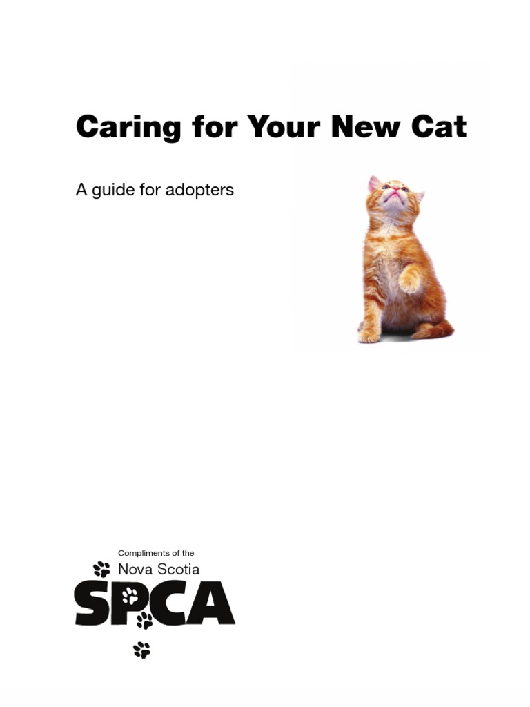 New Cat Care Guide for Adopters | PDF | Cats | Kitten