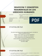 Derechos Humanos Aaffpp Semana 1