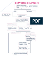 Esquema Proceso de Amparo