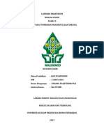 STRUKTUR ORGAN TUMBUHAN MONOKOTIL DAN DIKOTIL