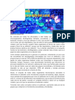 El Microbioma La Clave para La Vida Del Coral