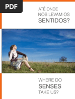 Apresentacao Institucional Luz e Som