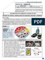 Ficha 4 - 4º