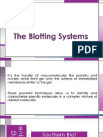 Blotting Systems