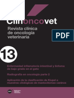 MM Clioncovet 13