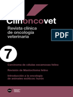 MM Clinoncovet 07