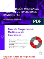 Fase de Programación Multianual de Inversiones