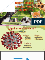 Cuidado de Las Mascotas en El Contexto COVID 19