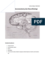 Neurofisiologi