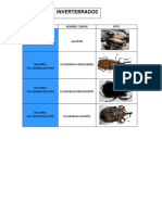 CATEGORIA INVERTEBRADOS CASI AMENAZADOS ESPECIES