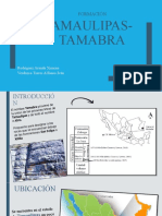 Formación Tamaulipas: transición entre cuenca y plataforma