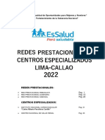 DIRECTORI_Redes_Lima