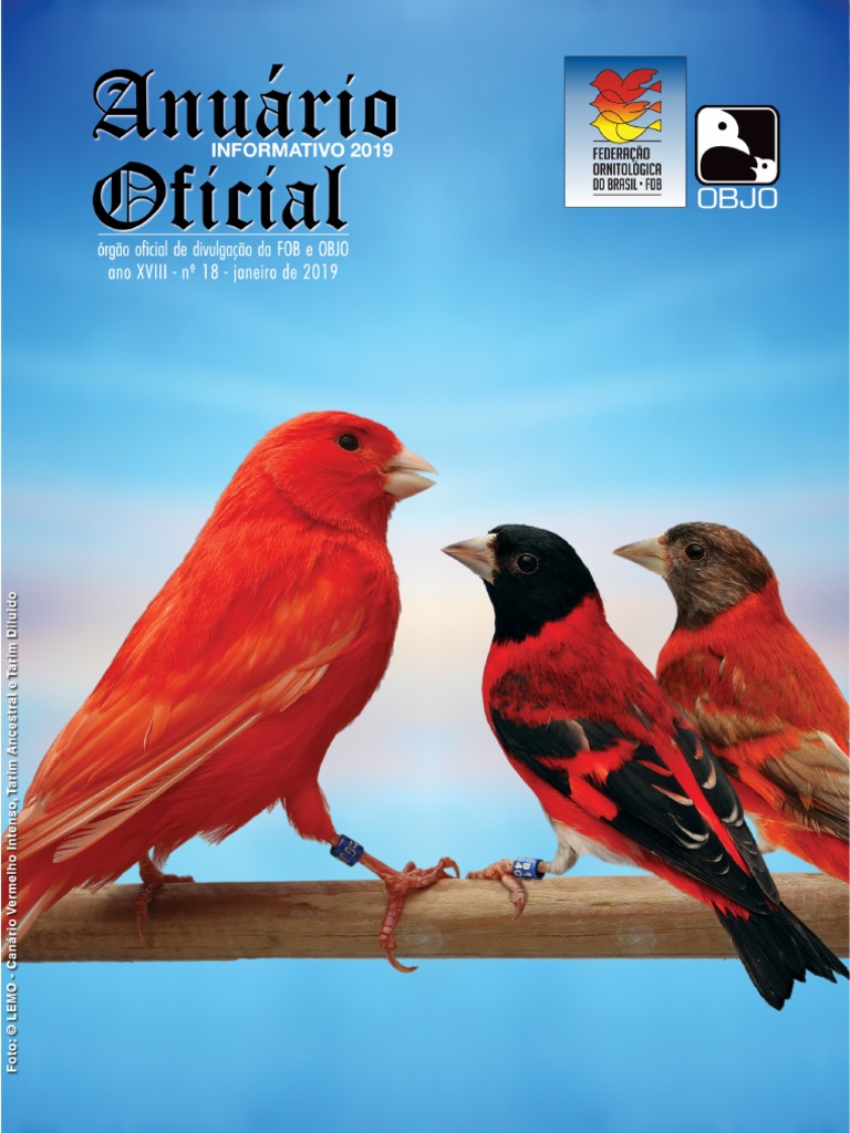 Cinelimite, image size:768x1024