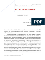 Zelig Psicoanálisis Juan Bellido PDF