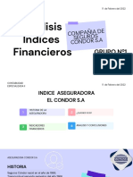 Análisis Índices Financieros - PRESENTACION GRUPO Nº1