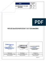 Sso-Pets-05-Izaje de Postes Con Maniobra