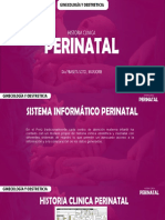 Historia Clinica Perinatal