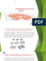 Evaluación Neuropsicologica en Adultos