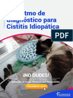 Algoritmo de Diagnostico para Cistitis Idiopática