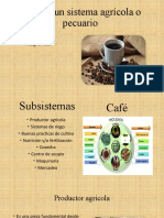 Sistema Agricola Cultivo de Cafe