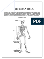 El SISTEMA ÓSEO