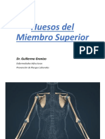 Anatomía - Clase 6 y 7 - Huesos Del Miembro Superior