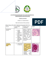 TinciÃ N HIsto-Quimica Stephanie Fernadez, Eliazar Fruto