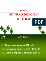 Chuong 3a Su Trao Doi Chat o Te Bao QUANG HOP (2 TIET)