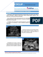 ECOGRAFÍA ABDOMINAL EPIGASTRIO Y LÍNEA MEDIA