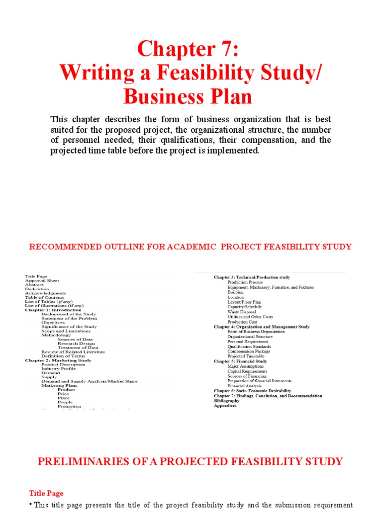 Feasibility Study Writing Guide | PDF | Swot Analysis | Pricing