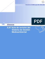 IIA7 Acta de Revision Del SGMA